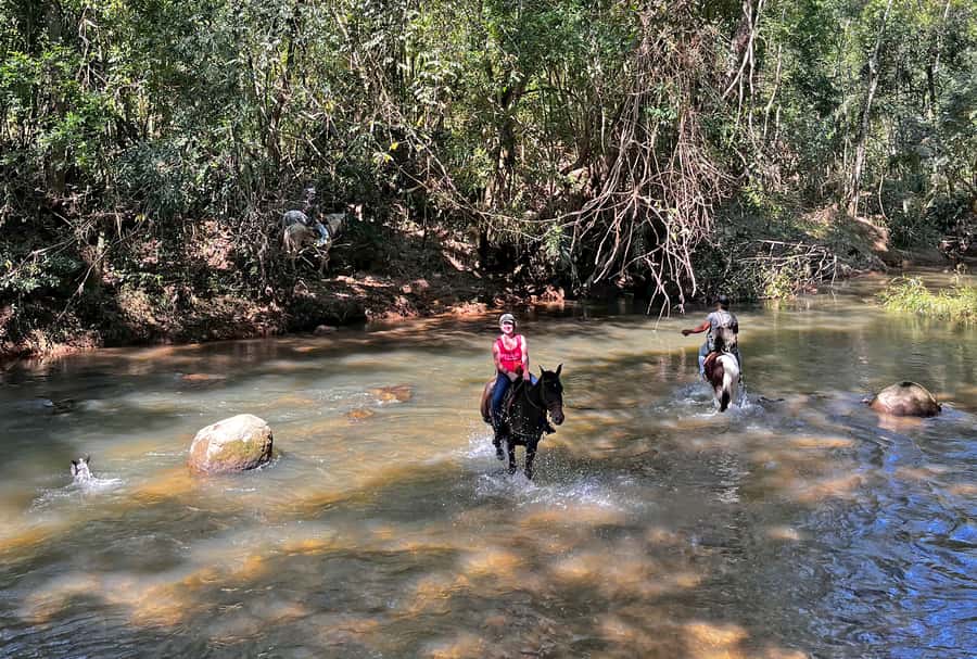 Paraty: 3-Hour Rainforest Horseback Ride - Riding beside Serra da Bocaina National Park