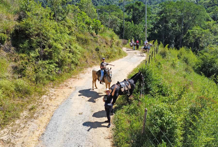Paraty: 3-Hour Rainforest Horseback Ride - Forest trails, plains, and changing views