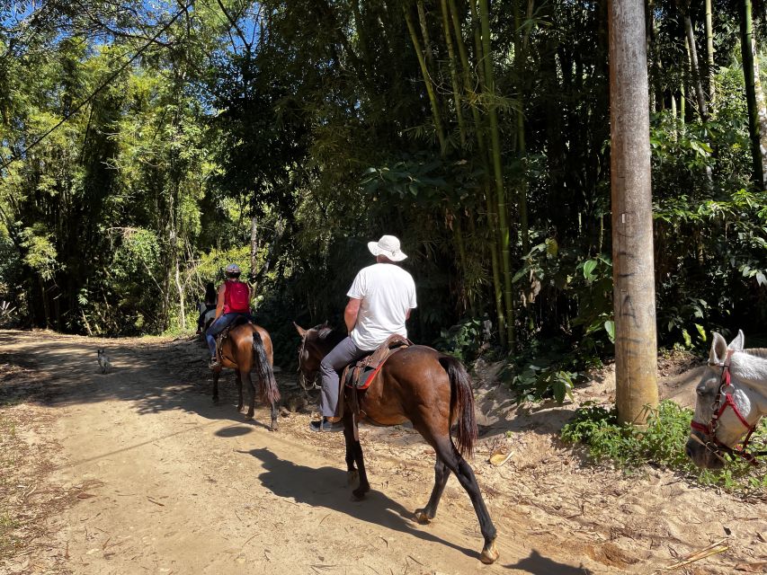 Paraty: 3-Hour Rainforest Horseback Ride - Waterfalls and the chance to bathe