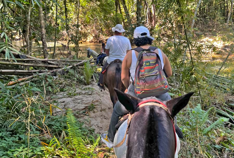 Paraty: 3-Hour Rainforest Horseback Ride - Lookouts above Paraty Bay
