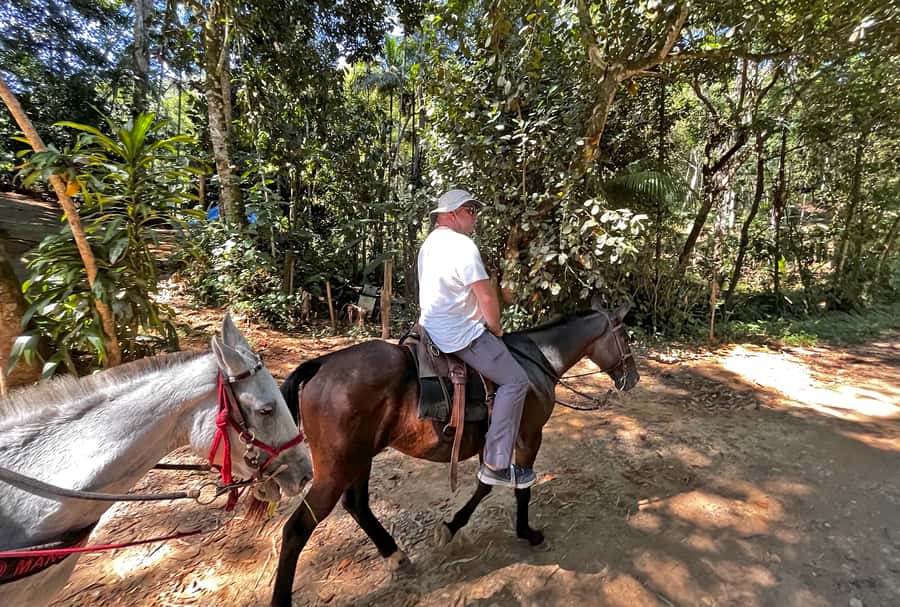 Paraty: 3-Hour Rainforest Horseback Ride - Is $120 a fair price?