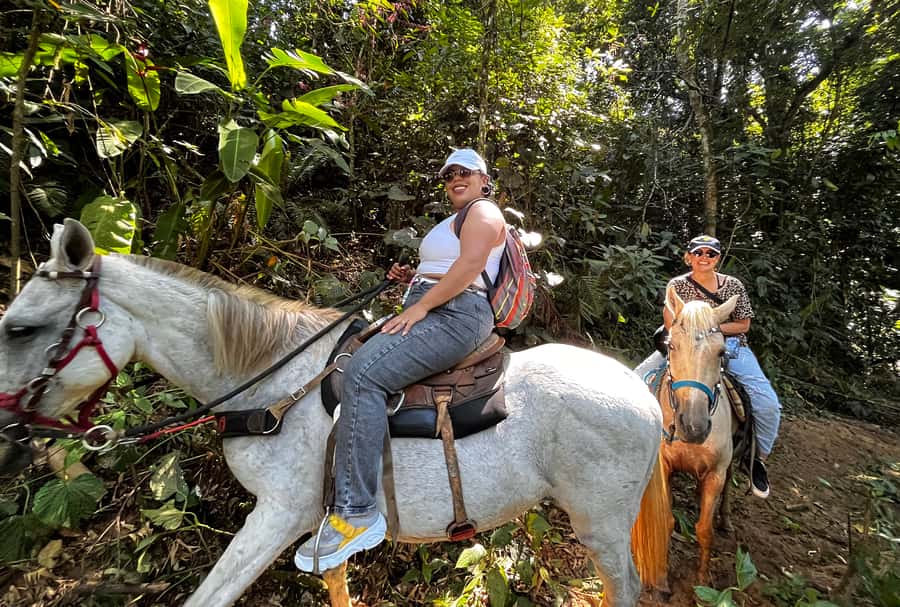 Paraty: 3-Hour Rainforest Horseback Ride - Who should book this ride?