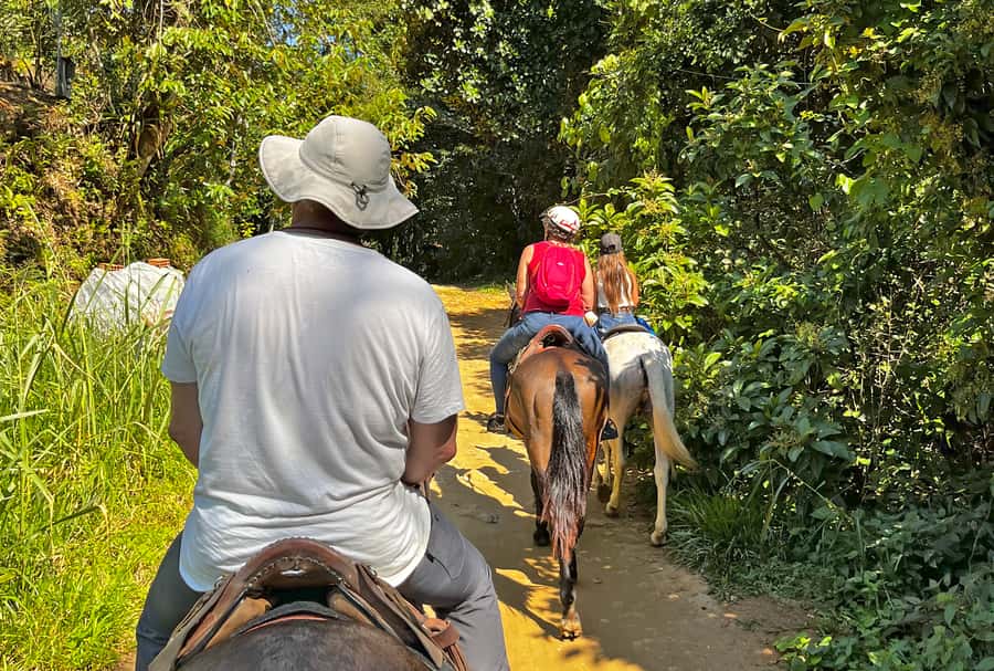 Paraty: 3-Hour Rainforest Horseback Ride - Meeting the horses and local monitor