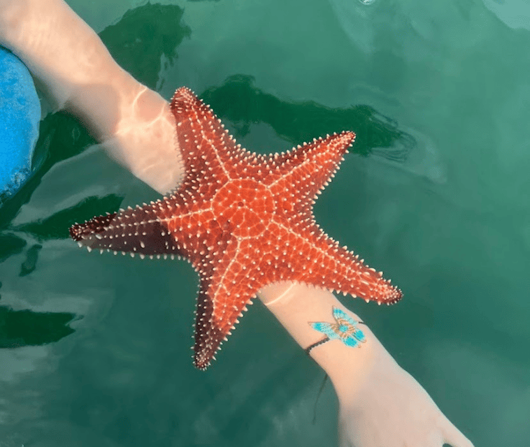 Paraty: A Private Speedboat Experience in Mamangua - What Thiago adds to the experience