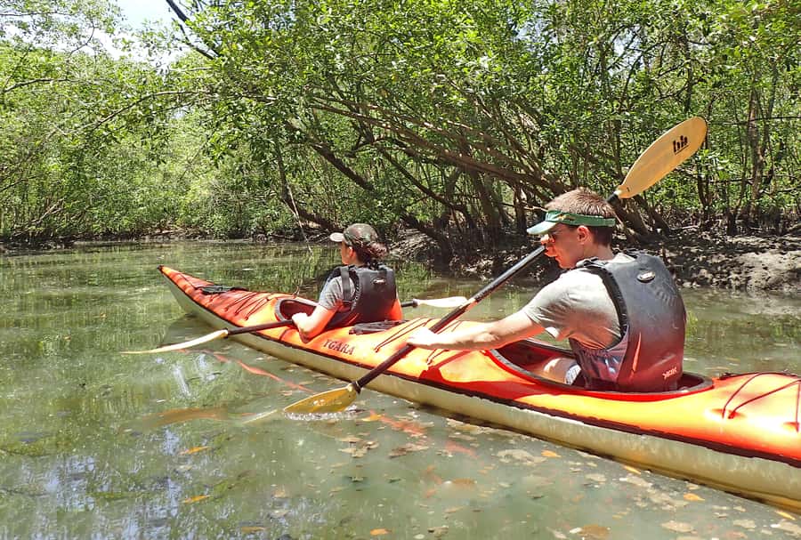 Paraty Bay: Half-Day Mangroves and Beaches Tour by Kayak - Paddling through Paraty Bay and between the islands