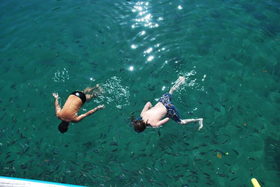 Paraty Bay: Islands & Beaches Boat Tour with Snorkeling - Snorkeling is pleasant, but not the tour’s main event