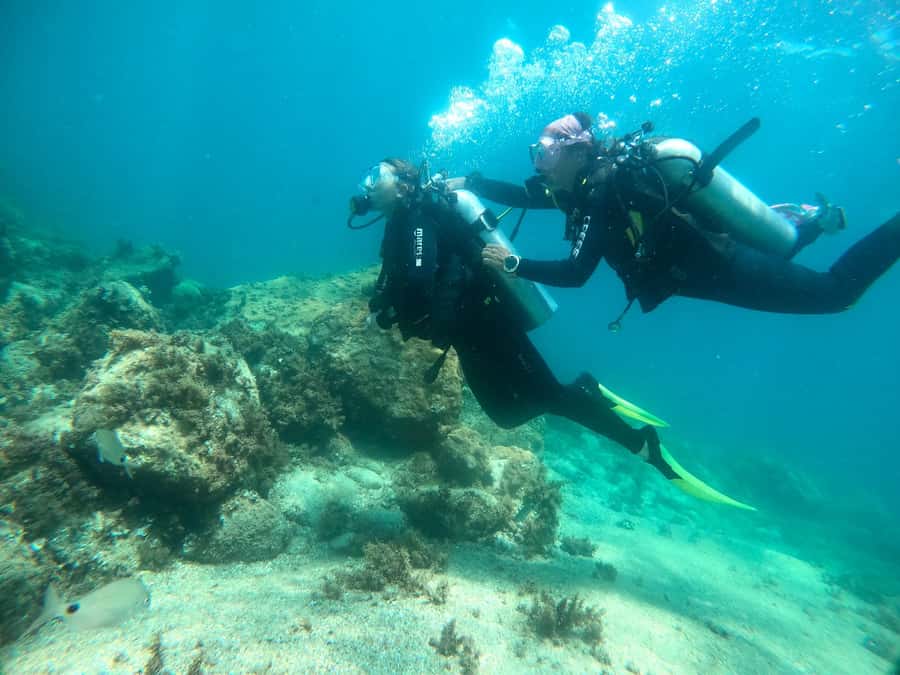 Paraty: Discovery Scuba Diving Experience for Beginners - What to pack for a five-hour outing