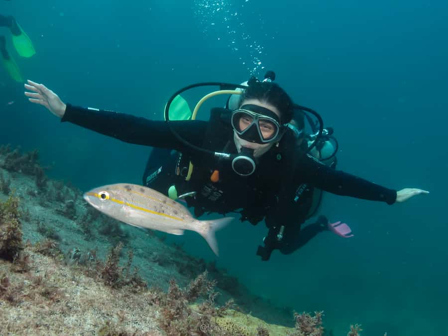 Paraty: Discovery Scuba Diving Experience for Beginners - Why Paraty works for a first scuba session