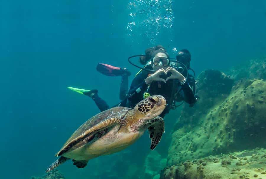 Paraty: Discovery Scuba Diving Experience for Beginners - The boat ride is part of your preparation