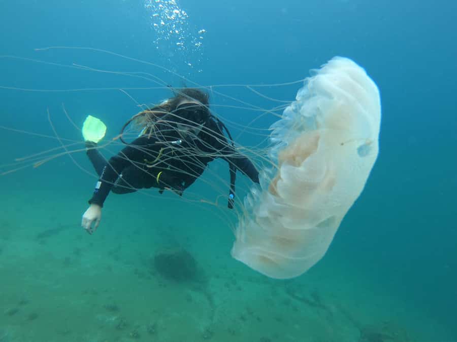 Paraty: Discovery Scuba Diving Experience for Beginners - The biggest question: how much underwater time will you receive?