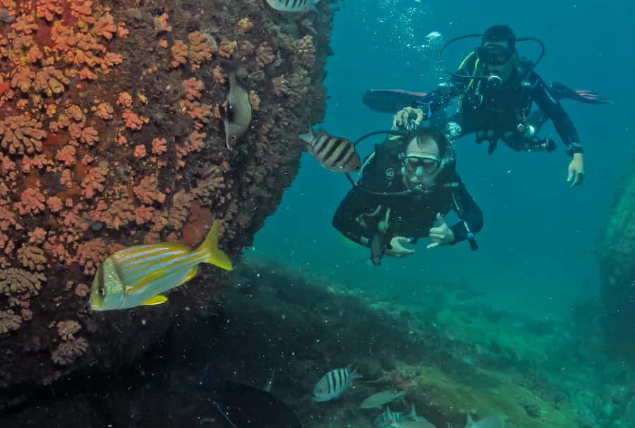 Paraty: Discovery Scuba Diving Experience for Beginners - Staff support and language