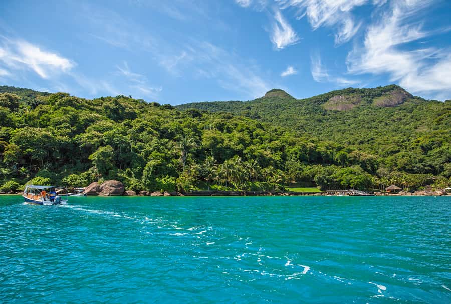 Paraty: Fast Boat Expedition to Saco do Mamangua - Saco do Mamangua and its forested shores