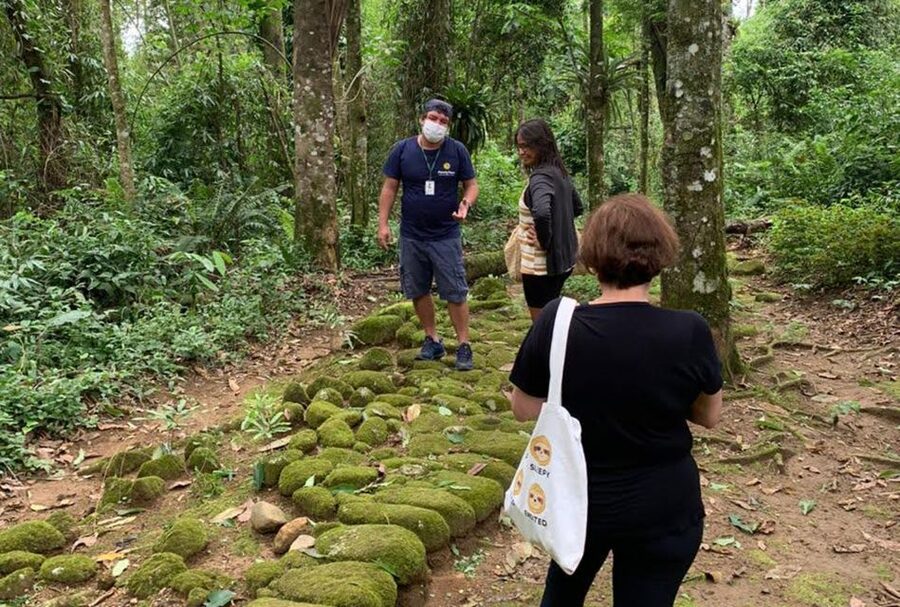 Paraty: Gold Trail Rainforest Hiking Tour - The gold story on the old route