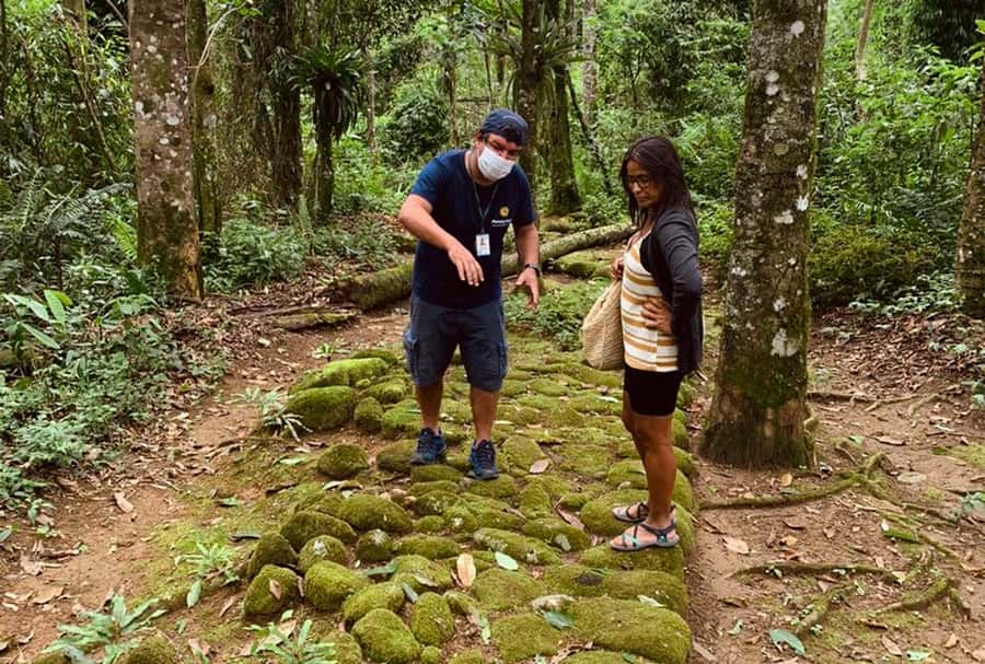 Paraty: Gold Trail Rainforest Hiking Tour - Who will enjoy this hike most