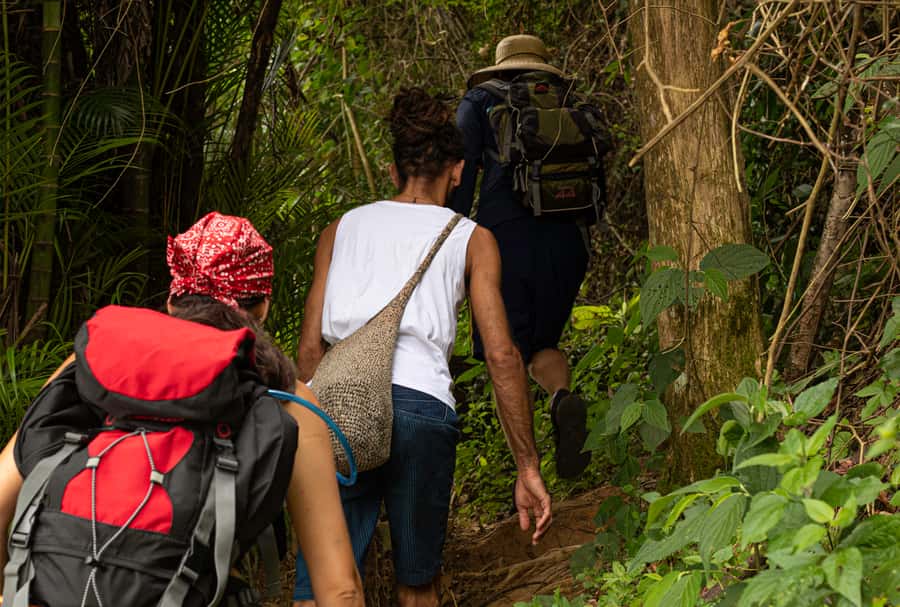 Paraty: Pão de Açucar Peak Trekking and Hiking Tour - Practical Advice for a Better Day