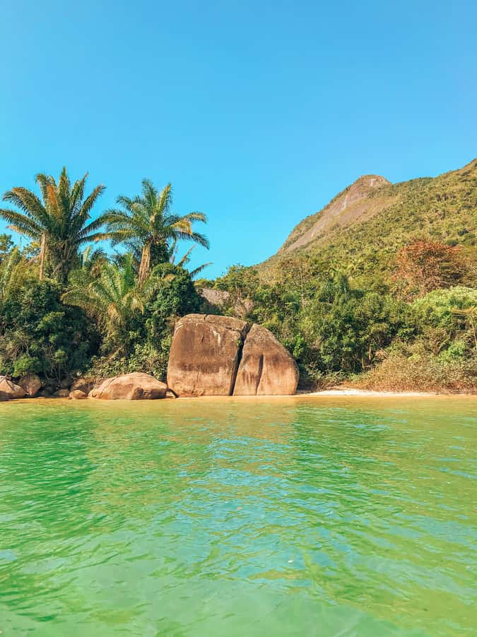 Paraty: Saco do Mamanguá Speedboat Tour - The surprise stop rounds out the afternoon