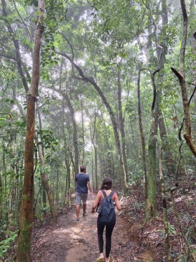 Pedra Bonita Trail: The easiest trail with a beautiful view of Rio