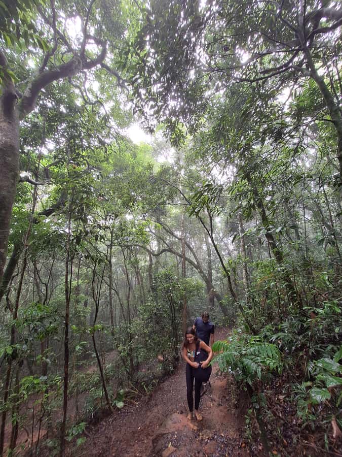 Pedra Bonita Trail: The easiest trail with a beautiful view of Rio - Pickup From Copacabana or Barra da Tijuca