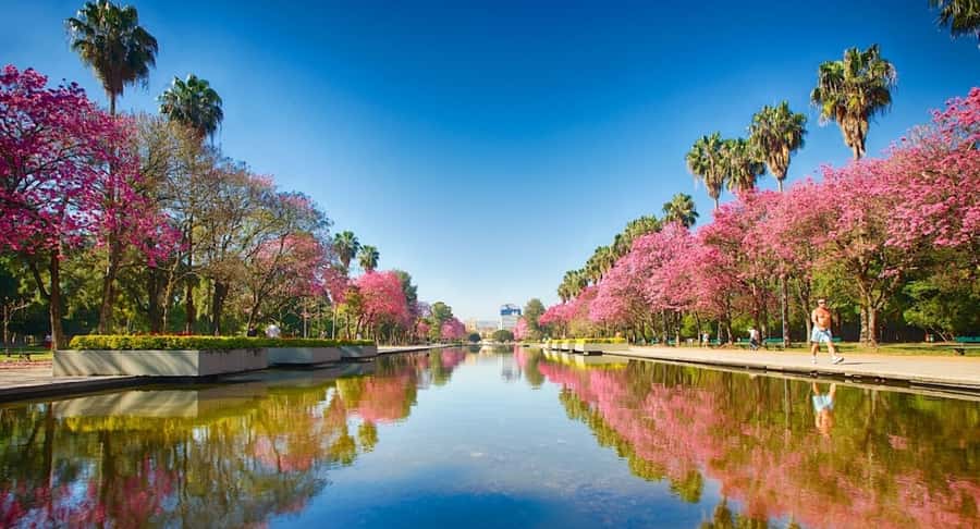 Porto Alegre: Private Citytour na Capital dos Gaúchos - Churches, squares, theaters, and government palaces