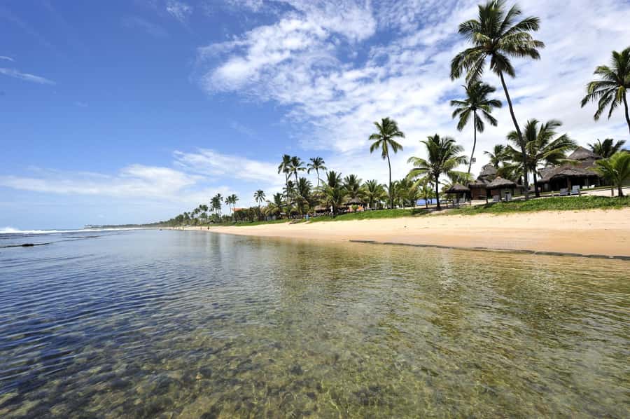 Porto Galinhas Full Day Tour - The ride from Recife and hotel pickup