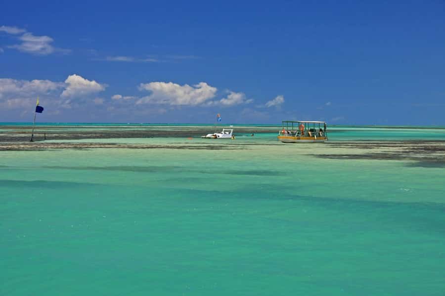 Praia de Paripueira Beach Day Tour - Key points to know before you book