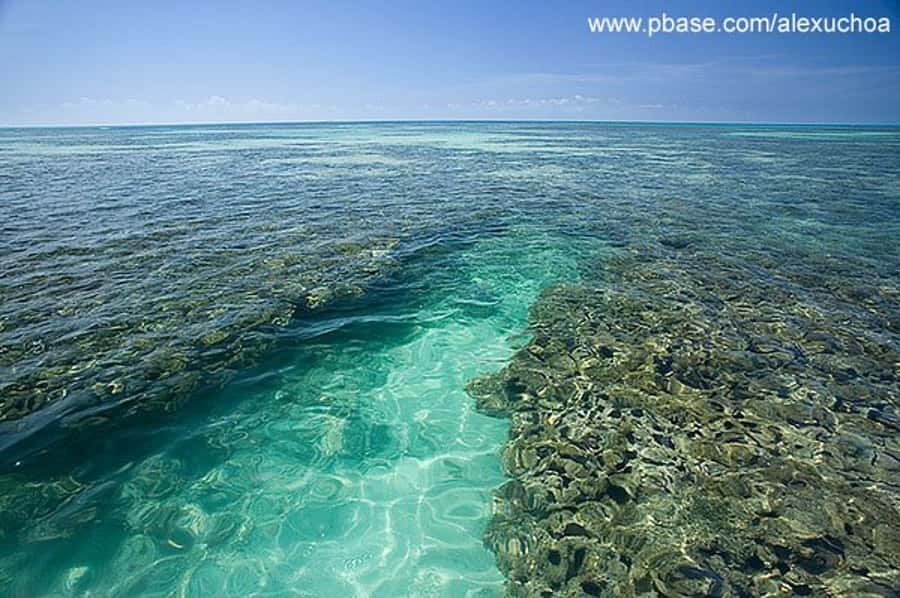 Praia de Paripueira Beach Day Tour - A sweet stop on the return journey