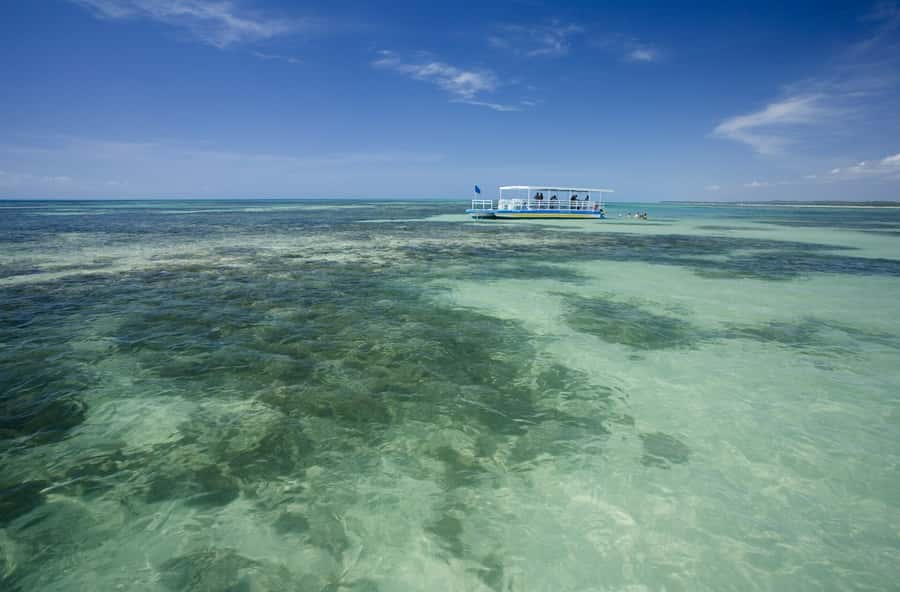 Praia de Paripueira Beach Day Tour - What the $107 price really covers