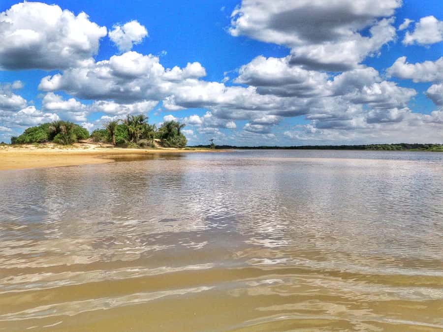Preguicas River Speedboat Tour - Why this river trip is worth your morning