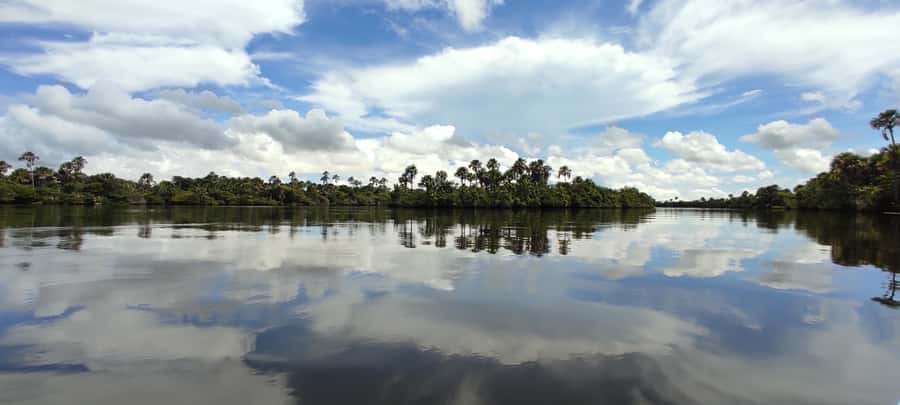 Preguicas River Speedboat Tour - Timing, communication, and possible problems