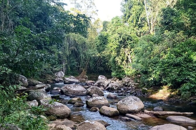 Private Bike Tour in Paraty - Key points before you book