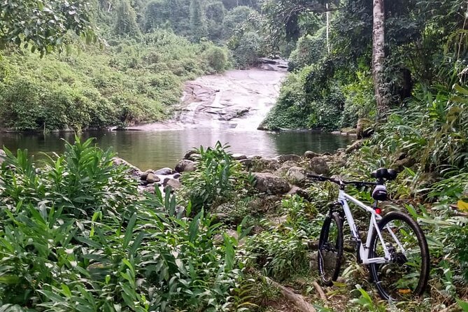Private Bike Tour in Paraty - Choosing between a gentle ride and a longer route