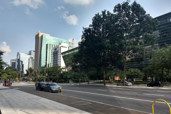 Private Half-Day Guided Tour to São Paulo - What This Six-Hour São Paulo Tour Does Best