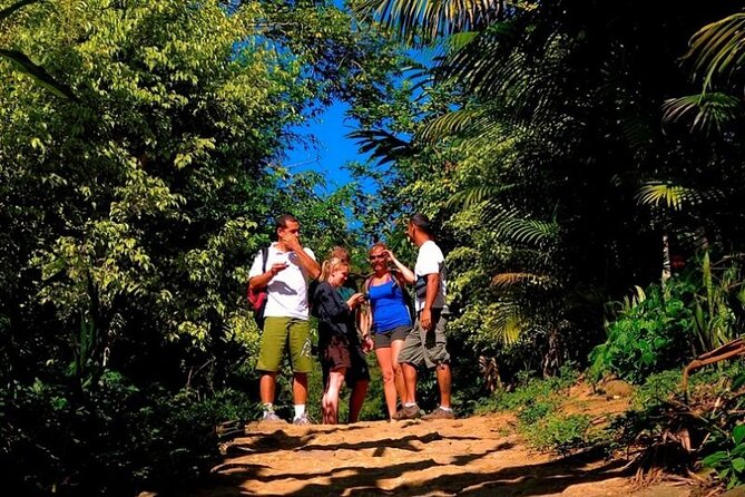 Private Jeep Tour with All Prices Included by PARATY TOURS - The Gold Path puts Paraty into a larger story