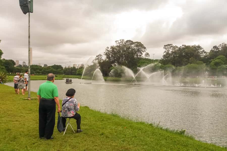 Private São Paulo City Tour - Ibirapuera Park and a change of pace