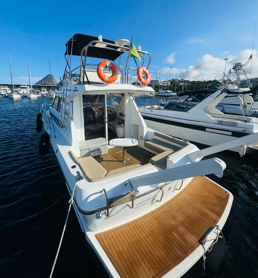 Private speedboat tour in Rio de Janeiro - Key details before you book