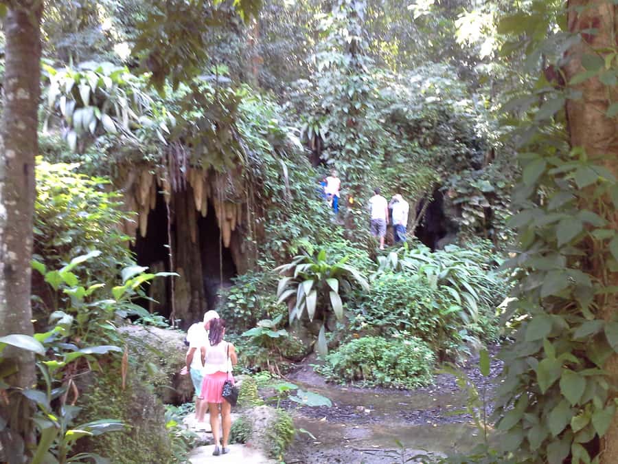 Private Tijuca Forest & Botanical Garden Guided Tour - Practical advice before you go