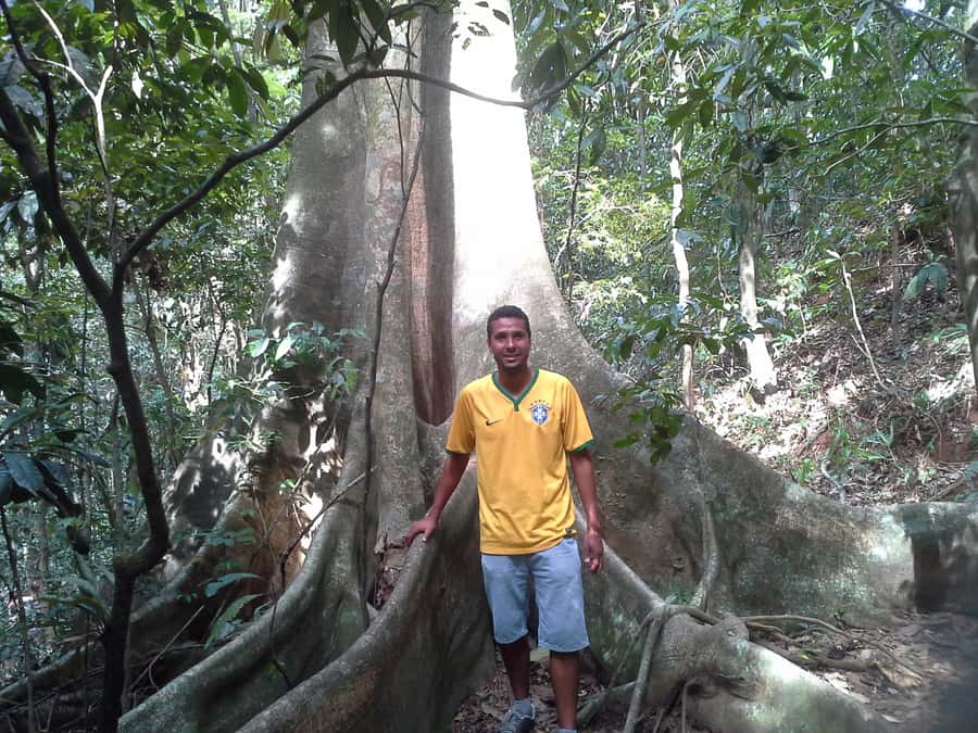 Private Tijuca Forest & Botanical Garden Guided Tour - Tijuca National Park and the Atlantic Forest