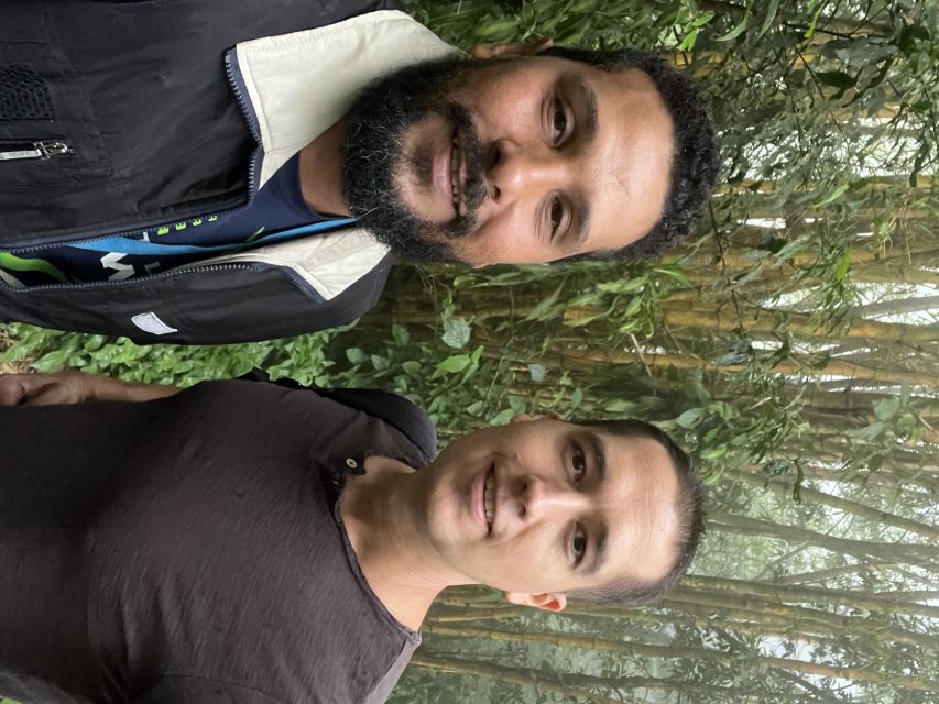 Private Tijuca Forest & Botanical Garden Guided Tour - Cascatinha Taunay and the easy forest walk