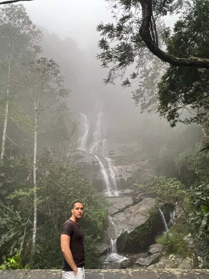 Private Tijuca Forest & Botanical Garden Guided Tour - Rio de Janeiro Botanical Garden: a calmer finish