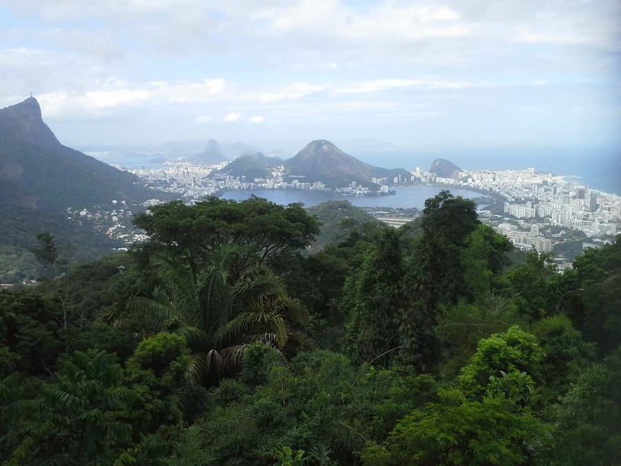 Private Tijuca Forest & Botanical Garden Guided Tour - What the $80 price really buys you