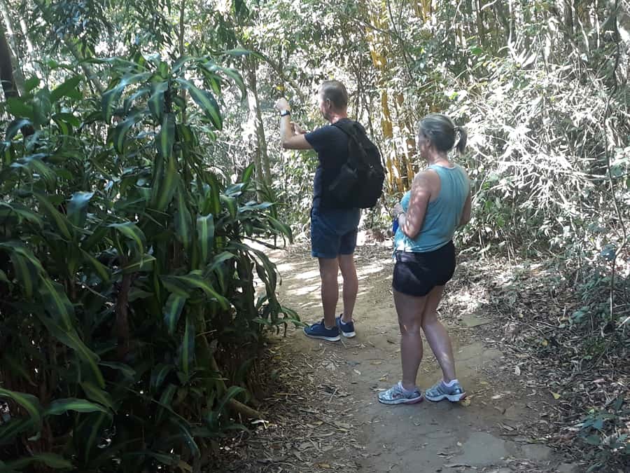 Private Tijuca Forest & Botanical Garden Guided Tour - Who should book this tour?