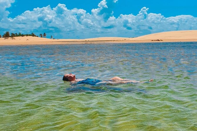 Private Tour to Foz do Rio São Francisco - The São Francisco River at Foz do Rio São Francisco