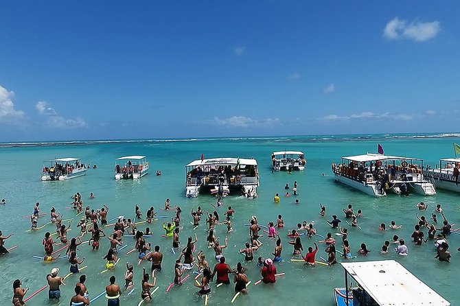 Private Transfer from Recife Airport to Maragogi - What the two-hour ride means for your day
