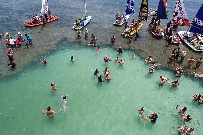 Private Transfer from Recife Airport to Porto de Galinhas - The Important Pickup Risk