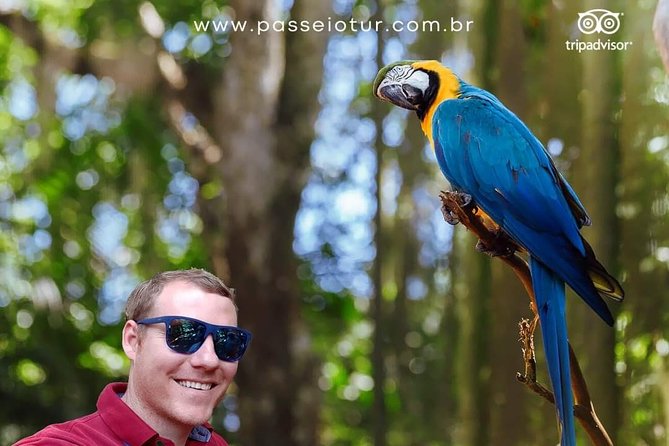 Private transport with guide to Brazil Falls + Bird Park - A smart pairing near Foz do Iguaçu