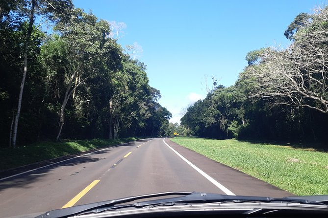 Private transport with guide to Brazil Falls + Bird Park - Why a private guide can improve the day