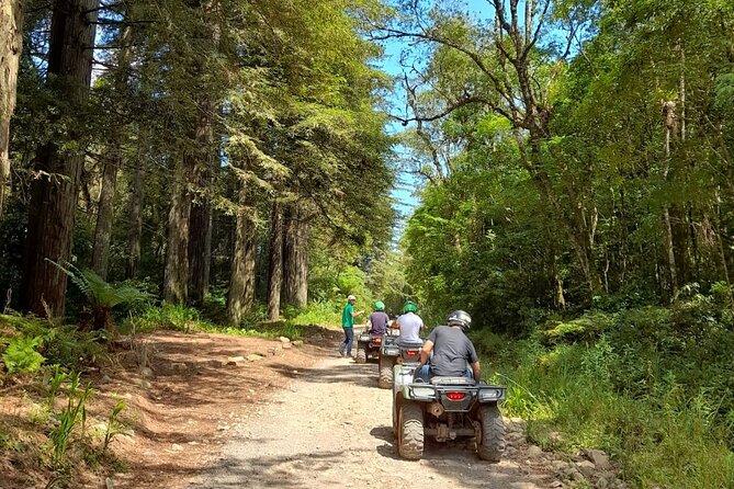 Quadricycle Tour to the Hills with Off Road 15km - 01 person - What the 90-Minute Quadricycle Ride Is Really Like