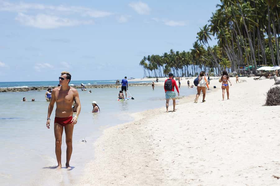 Recife: Carneiros Beach Day Tour - Carneiros Beach at a Glance
