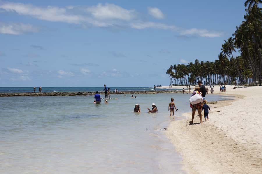 Recife: Carneiros Beach Day Tour - The Ride South From Recife