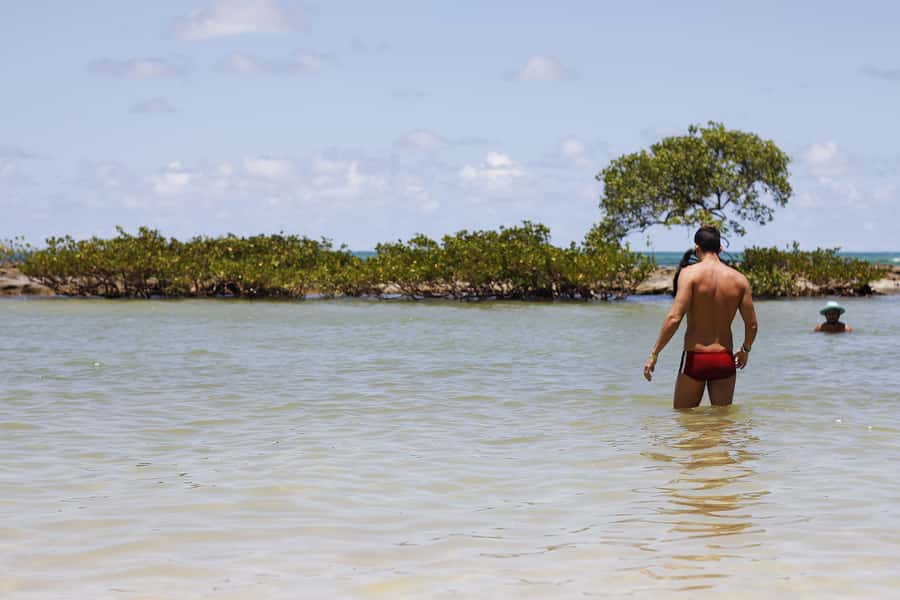 Recife: Carneiros Beach Day Tour - White Sand, Coconut Palms, and Calm Water